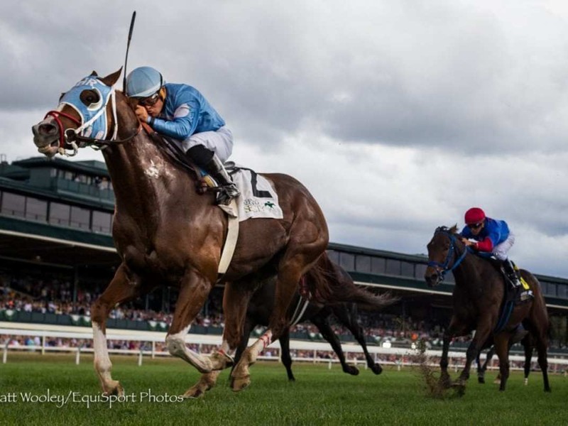 Ironhorse Secures Permanent Home Near Saratoga