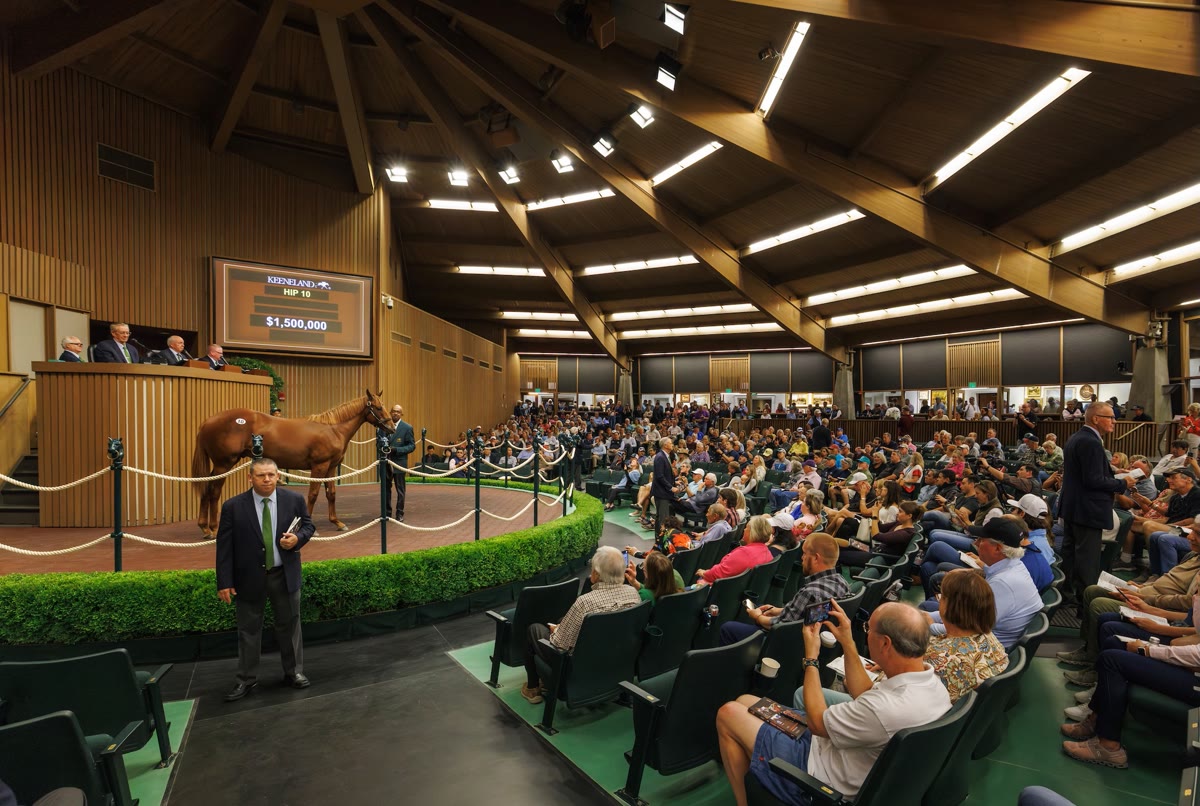 2026 Yearling Trio